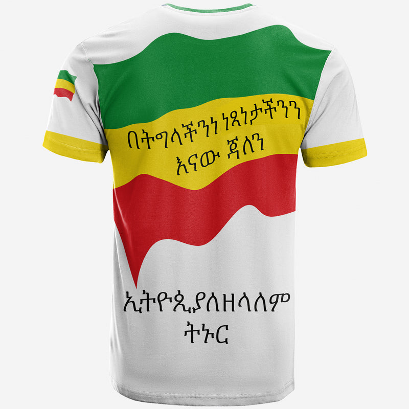 CUSTOMER REQUEST - Emmanuel - 14112023 Amhara T Shirt